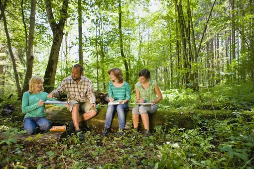К чему снится ребенок К чему снится ребенок