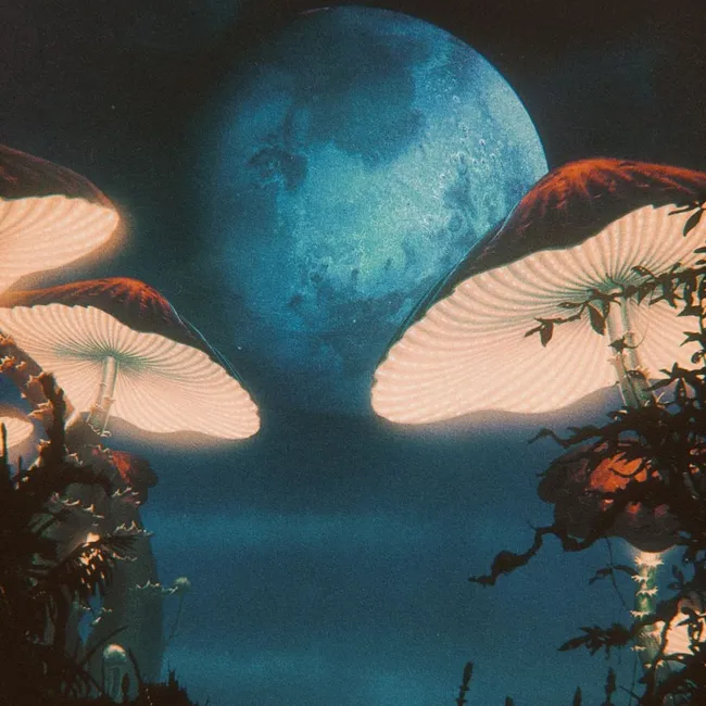 Голубая луна в Рыбах: чего ждать каждому знаку зодиака — рассказывает астролог