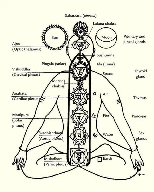 чакры женщины чакры мужчины