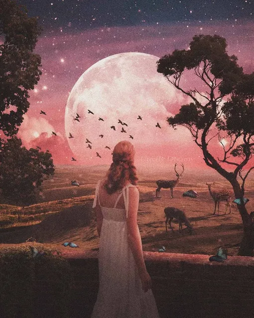 Нептун управляет 12-м Домом в астрологии 12 Дом в натальной карте