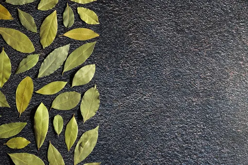 Как загадать желание с лавровым листом