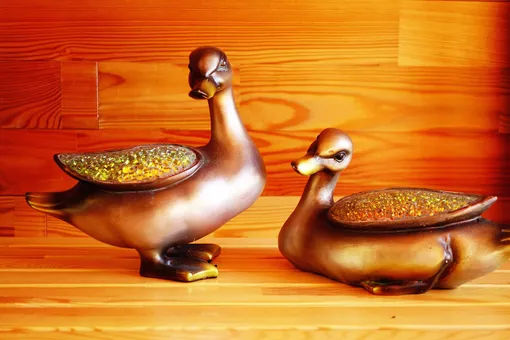 Утки-мандаринки