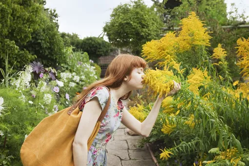 Как растолковать сон Как растолковать сон