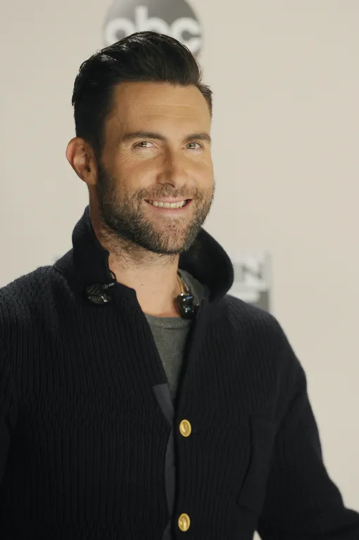 Адам Левин в своей карьере проявил не свойственную представителям своего знака зодиака настойчивость: он не опустил руки после распада первой группы, а продолжил выступать и добился успеха Адам Левин