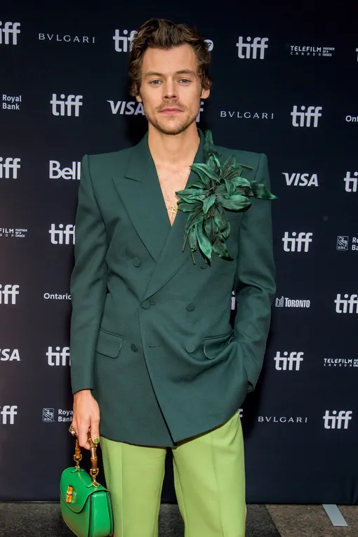 Гарри Стайлс известен не только своими хитами, но и перипетиями личной жизни: говорят, этот звездный мужчина-Водолей разбил не одно женское сердце Гарри Стайлс