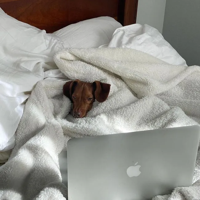 Гороскоп на октябрь для всех знаков зодиака: кому будут сниться вещие сны, а кого ждет трансформация из гусеницы в бабочку