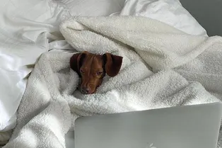 Гороскоп на октябрь для всех знаков зодиака: кому будут сниться вещие сны, а кого ждет трансформация из гусеницы в бабочку