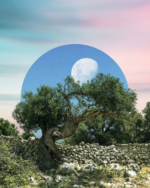 Земные знаки зодиака испытывают интерес ко всему материальному, любят копить деньги, умеют держать под контролем свои эмоции Земные знаки зодиака