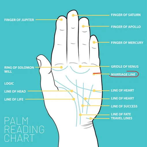 Линия брака обычно небольшой длины и не всегда четко выражена. Иногда увидеть ее среди других крупных линий достаточно сложно Линия брака