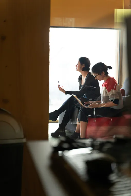 Коза и Дракон: деловая совместимость Коза и Дракон: деловая совместимость