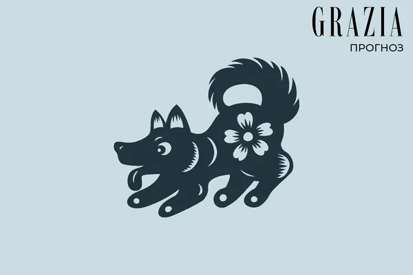 Чего ждать от 2025-го тем, кто родился в год Собаки: подробный гороскоп Чего ждать от 2025-го тем, кто родился в год Собаки: подробный гороскоп
