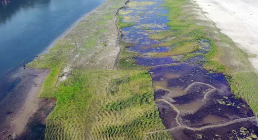 Природная катастрофа, по мнению Нострадамуса, неизбежна Природная катастрофа, по мнению Нострадамуса, неизбежна