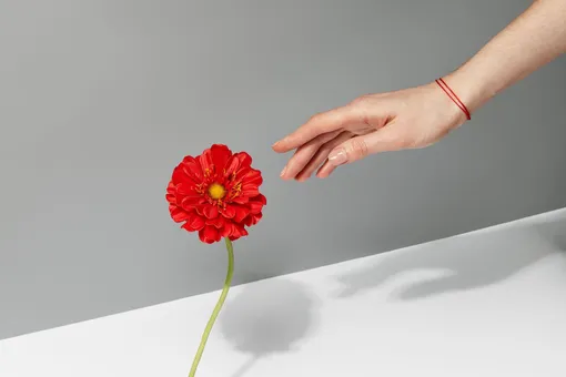 Необходимо совершить особый ритуал, чтобы загадать желание на красную нить Необходимо совершить особый ритуал, чтобы загадать желание на красную нить