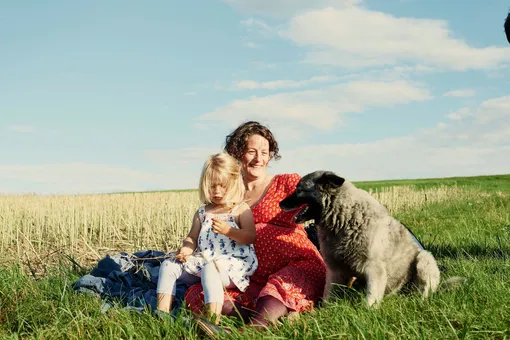 Сонник Сонник