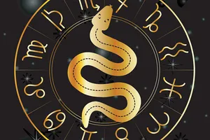 Совместимость знаков зодиака в любви и дружбе: узнайте, кто на самом деле подходит вам!