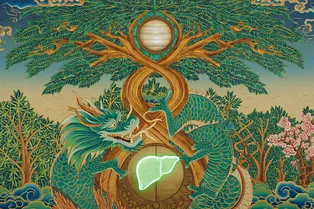 Пять стихий в восточном гороскопе: Дерево